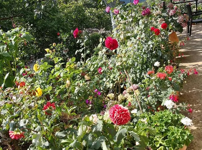 καλοσκοπη Luxury House Βίλα *