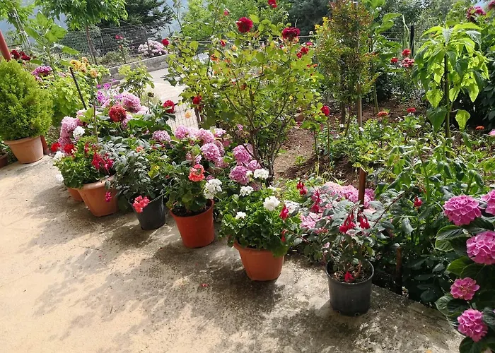 Βίλα καλοσκοπη Luxury House Kaloskopi