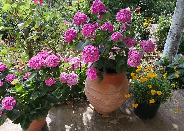 Βίλα καλοσκοπη Luxury House *