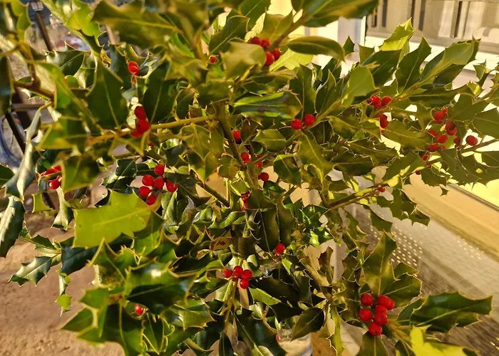 καλοσκοπη Luxury House Βίλα *